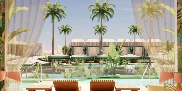 Palm Tree Beach Club Thursday