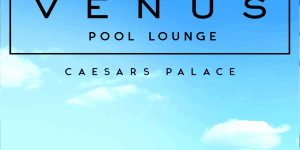 Winter Swim at Garden of the Gods